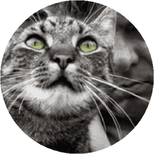 Môj domov 2 ich + mačka v kruhu