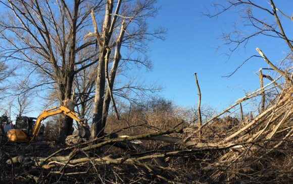 Tragická víchrica polámala staré topoly v mojej prírodnej záhrade
