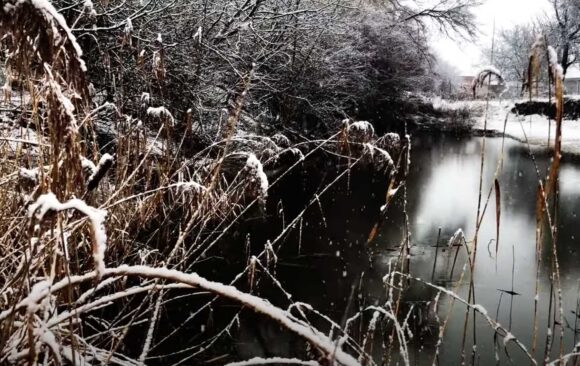 Prírodná záhrada s jazierkom - Lapoš v zime