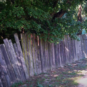 Starý drevený plot, Biskupické luhy