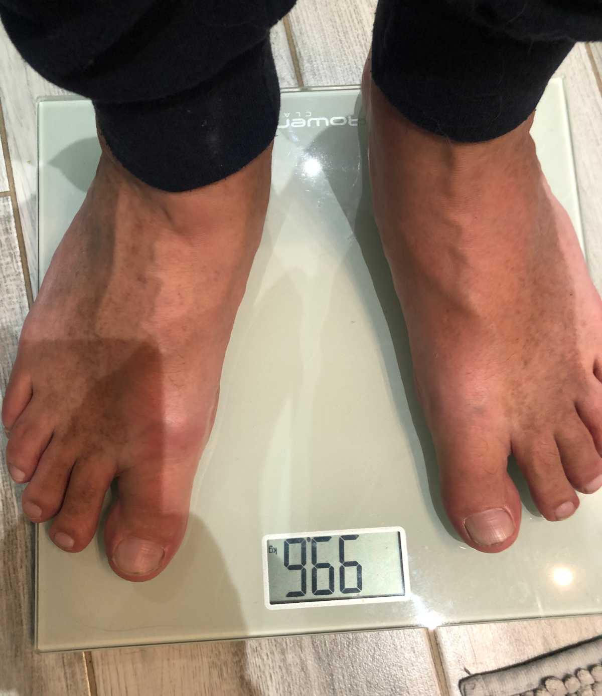 99,60 na pomoc pre zvieratká