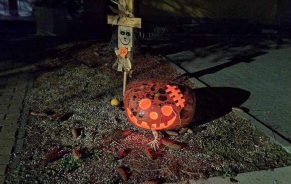 Helovinska tekvica - pomoc pre zvieratá