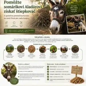 Občianske združenie Vidiecky sen – Kampaň DONIO na profesionálnu štiepkovačku, infografika
