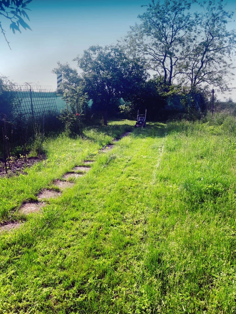 Benzínová kosačka na záhradnom trávniku