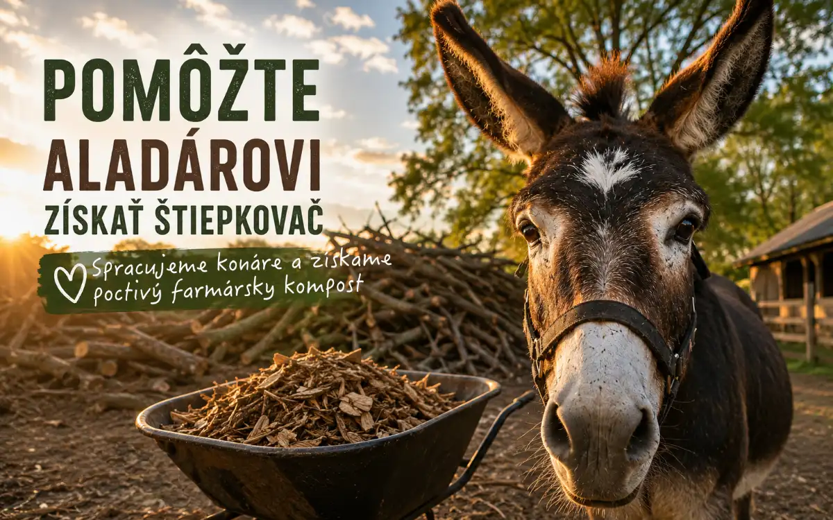 Čo s konármi po reze stromov? Naša cesta od hobby drvičov k profesionálnemu štiepkovaču 3 Aladár v Donio kampani