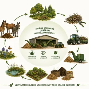 Komunitný projekt OZ vidiecky sen – Lokálne komunitné centrum zhodnocovania biomasy - Schéma